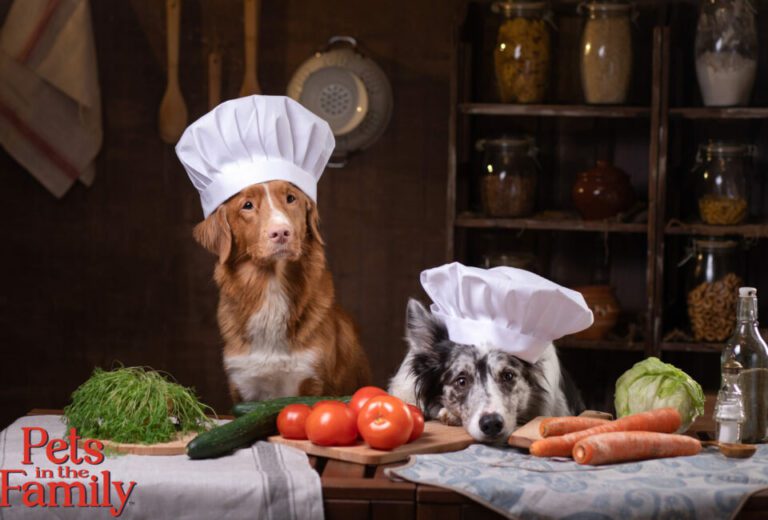 A Dog Wearing a Chef’s Hat Sitting at a Kitchen Table With Various Vegetables