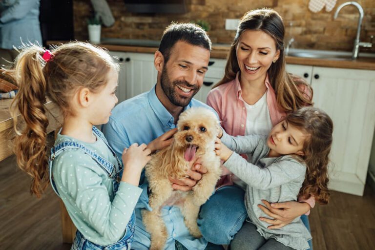 Pet Resolutions 2025 Safety Tips for Pets