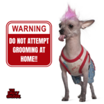 Group logo of Pet Grooming Tips